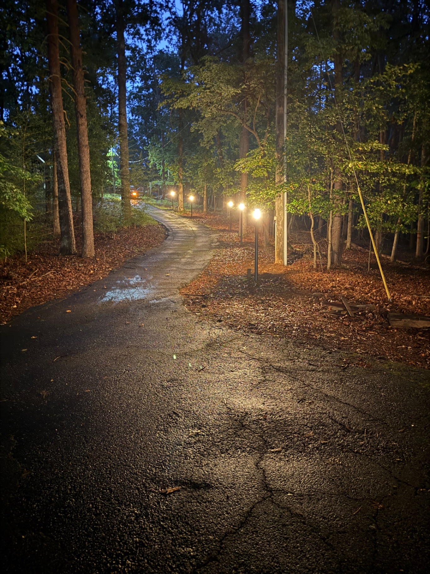 Pathway Lighting Installation